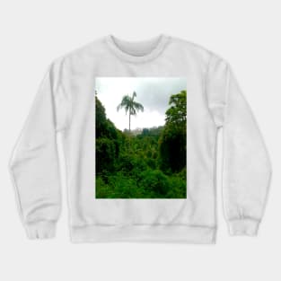 Mount Tambourine Crewneck Sweatshirt